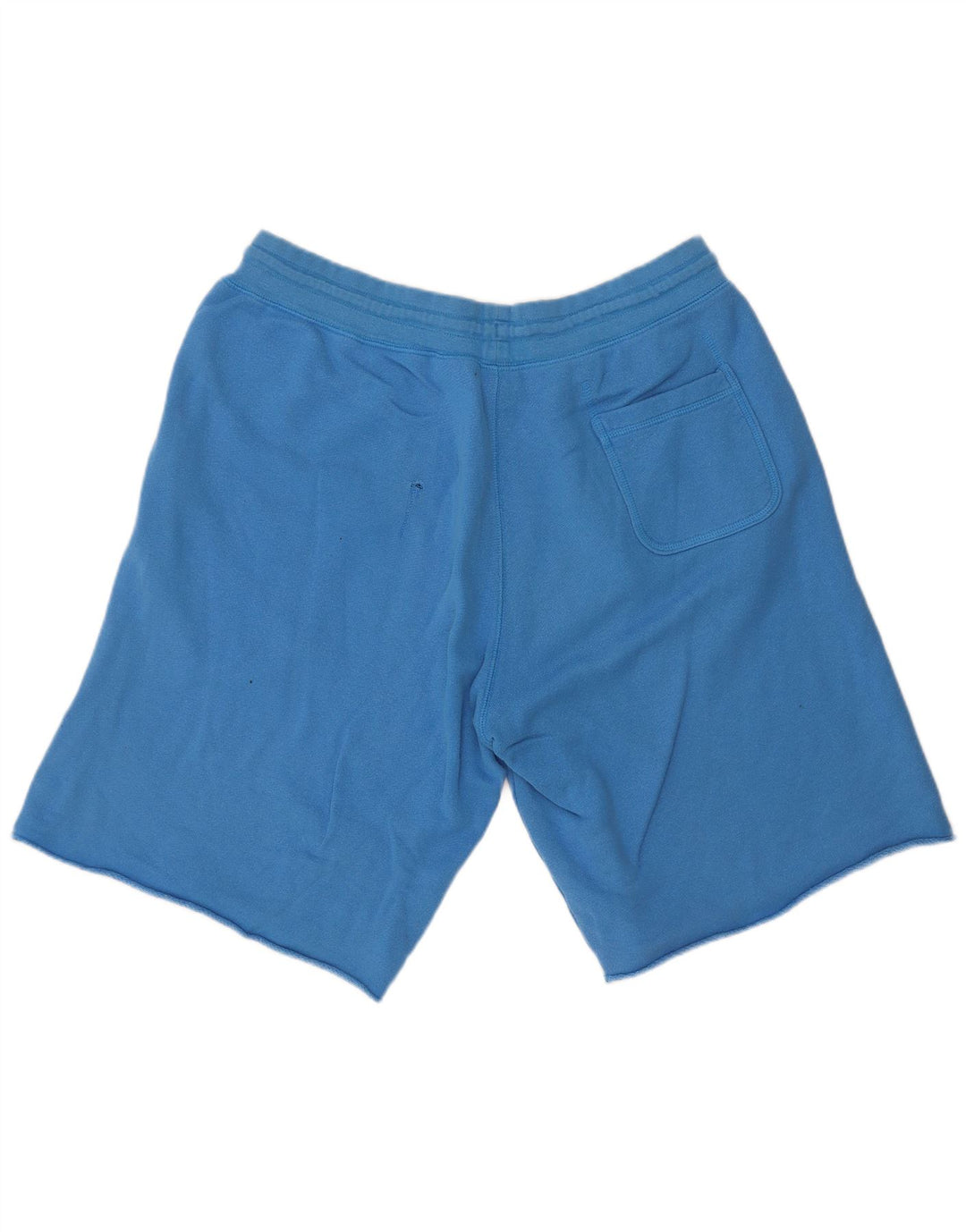 Nike Mens Graphic Sport Shorts Large  Blue Cotton