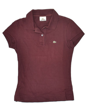 Lacoste 36 size sales