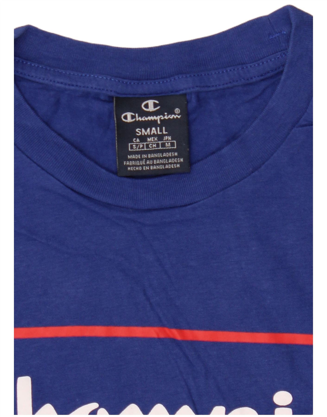 Champion Mens Graphic T-Shirt Top Small Navy Blue