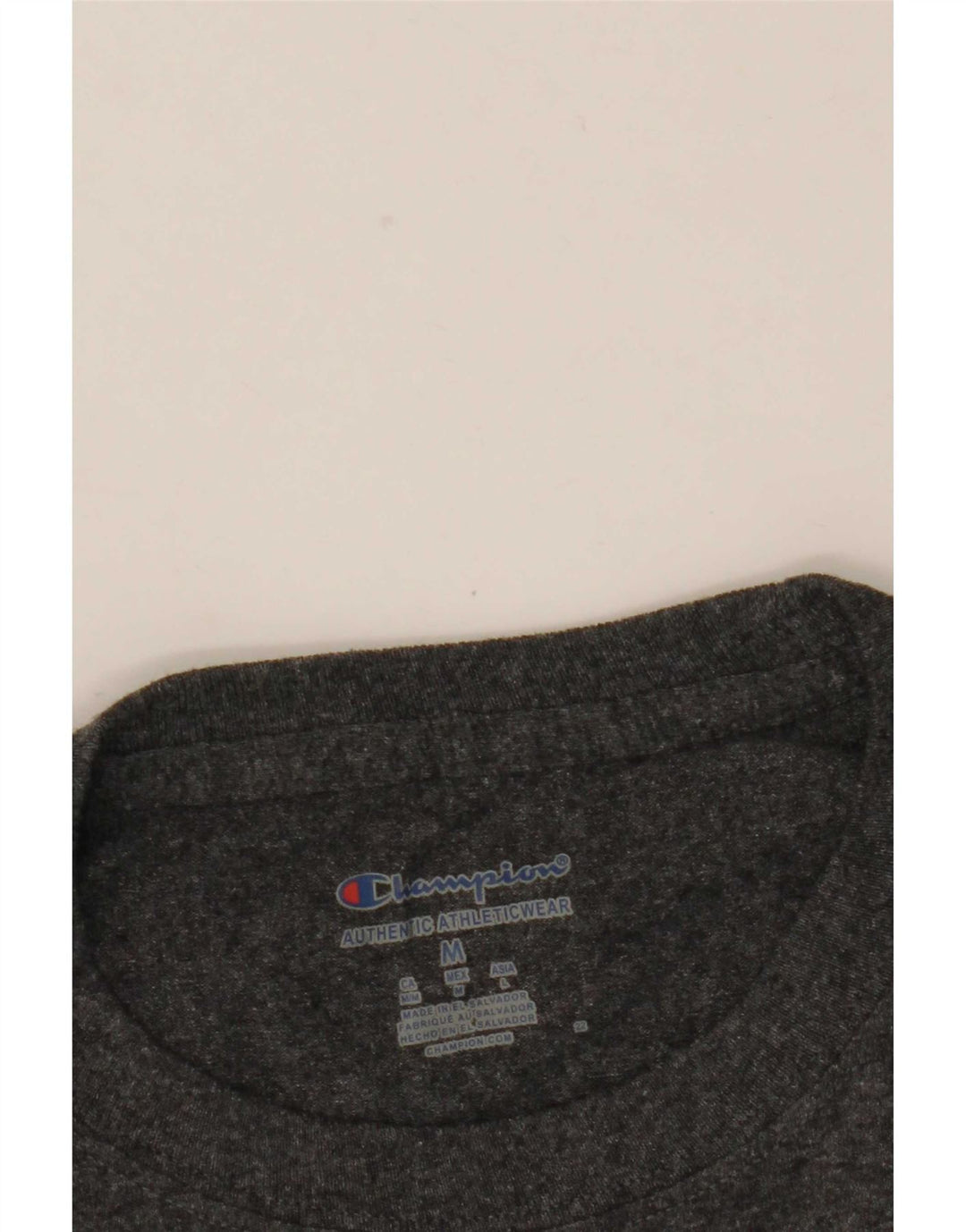 Champion Mens Graphic T-Shirt Top Medium Grey