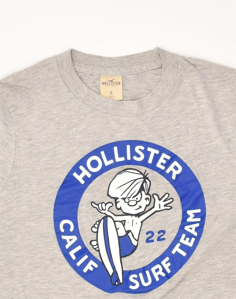 HOLLISTER Mens Graphic T-Shirt Top Small Grey Cotton | Vintage Hollister | Thrift | Second-Hand Hollister | Used Clothing | Messina Hembry 