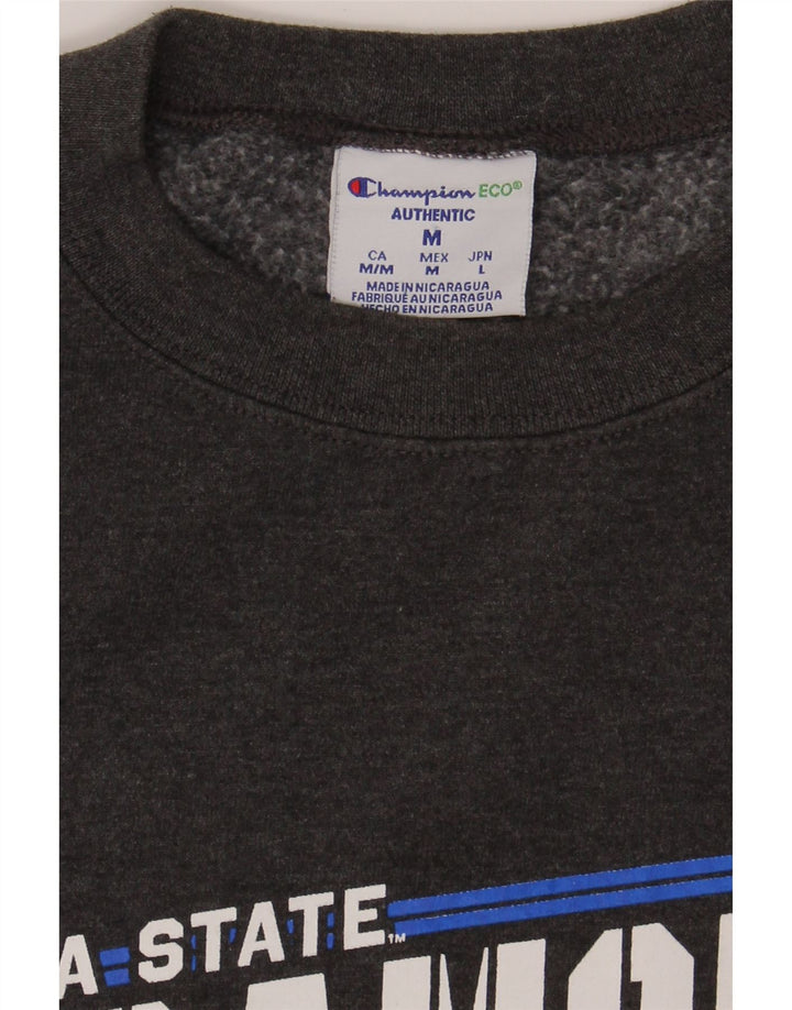 CHAMPION Mens Sycamore Aviators Graphic Sweatshirt Jumper Medium Grey Vintage Champion and Second-Hand Champion from Messina Hembry 