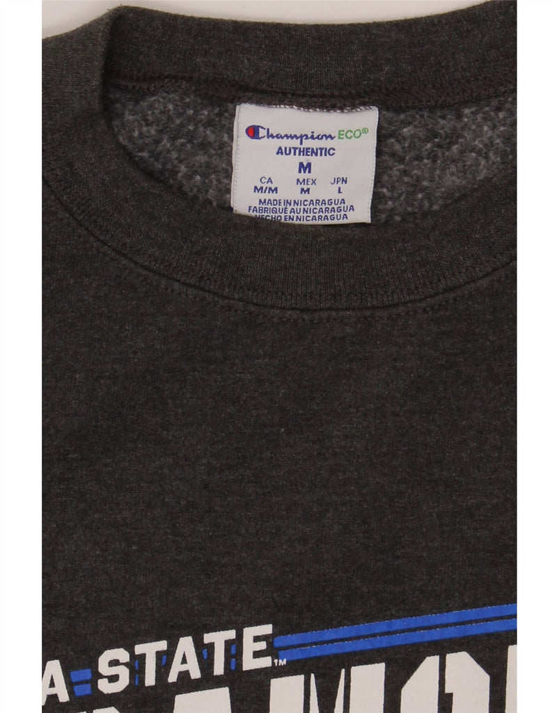 CHAMPION Mens Sycamore Aviators Graphic Sweatshirt Jumper Medium Grey Vintage Champion and Second-Hand Champion from Messina Hembry 