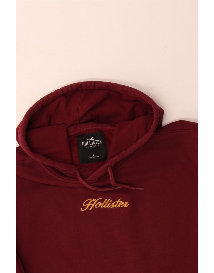 Mens Hoodie Jumper Large