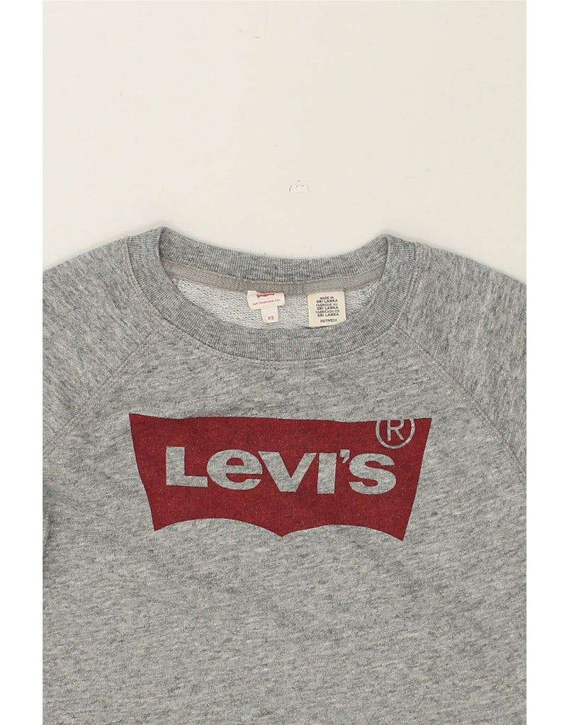 LEVI'S Womens Loose Fit Graphic Sweatshirt Jumper UK 6 XS Grey Cotton | Vintage Levi's | Thrift | Second-Hand Levi's | Used Clothing | Messina Hembry 