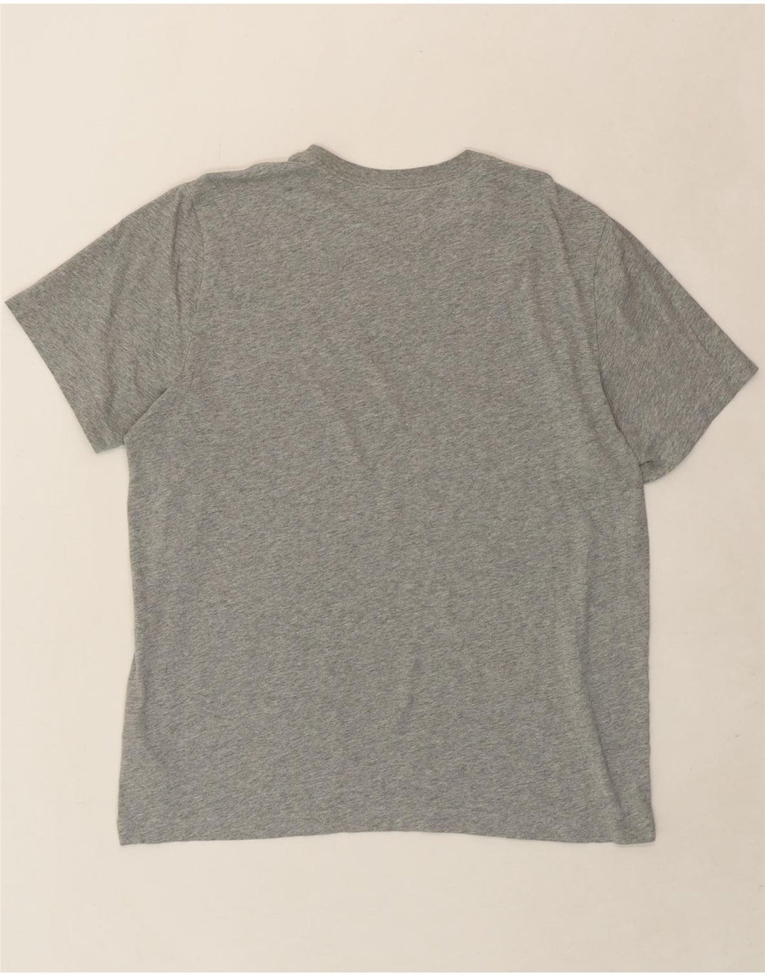 NIKE Mens Graphic T-Shirt Top Large Grey Cotton Vintage Nike and Second-Hand Nike from Messina Hembry 