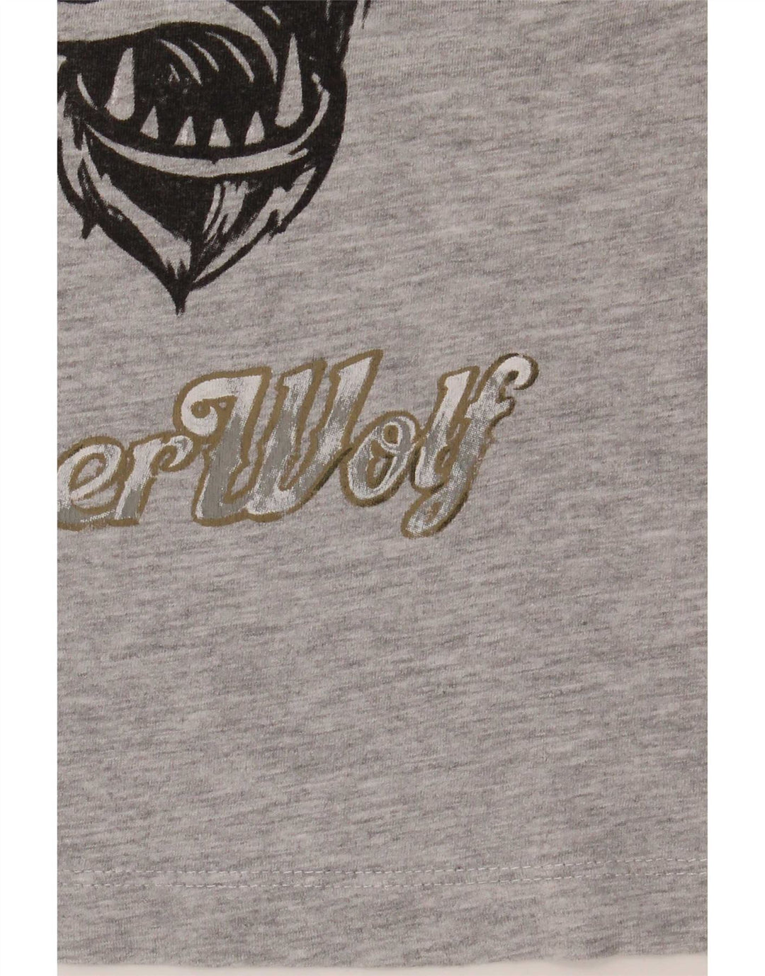 Zara Boys Graphic T-Shirt Top 7-8 Years Grey