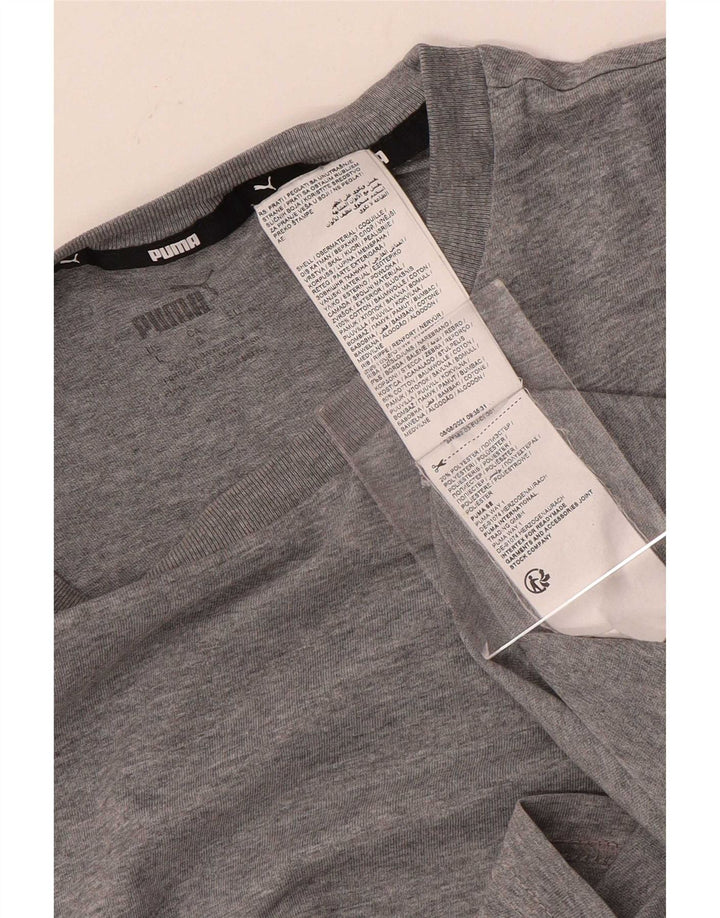Puma Mens Graphic T-Shirt Top Large Grey Colourblock Cotton