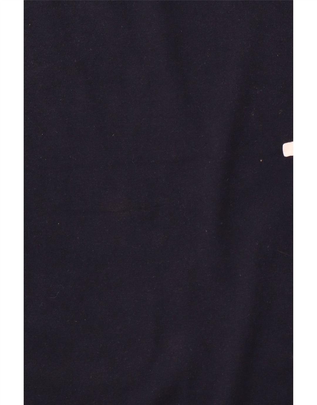 CHAMPION Womens Graphic T-Shirt Top UK 18 XL Navy Blue