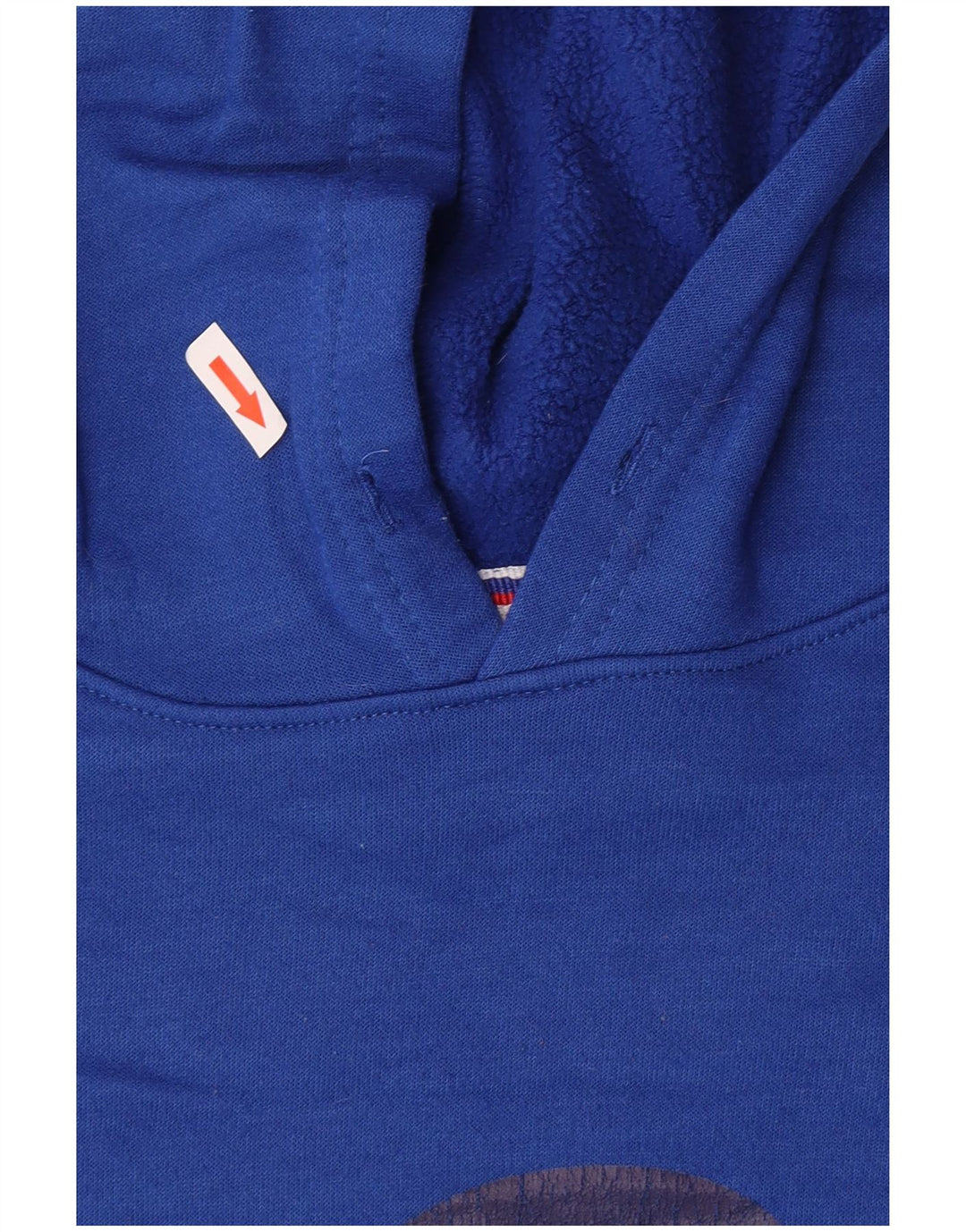 Champion Mens Graphic Hoodie Jumper Medium Blue Polyester