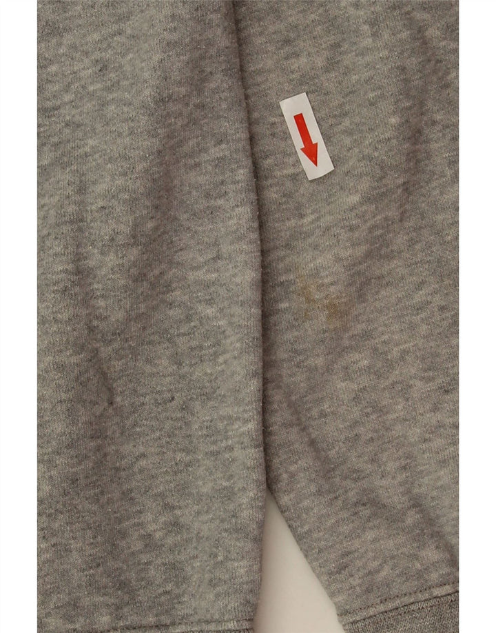 Champion Mens Graphic Hoodie Jumper Medium Grey Flecked Cotton