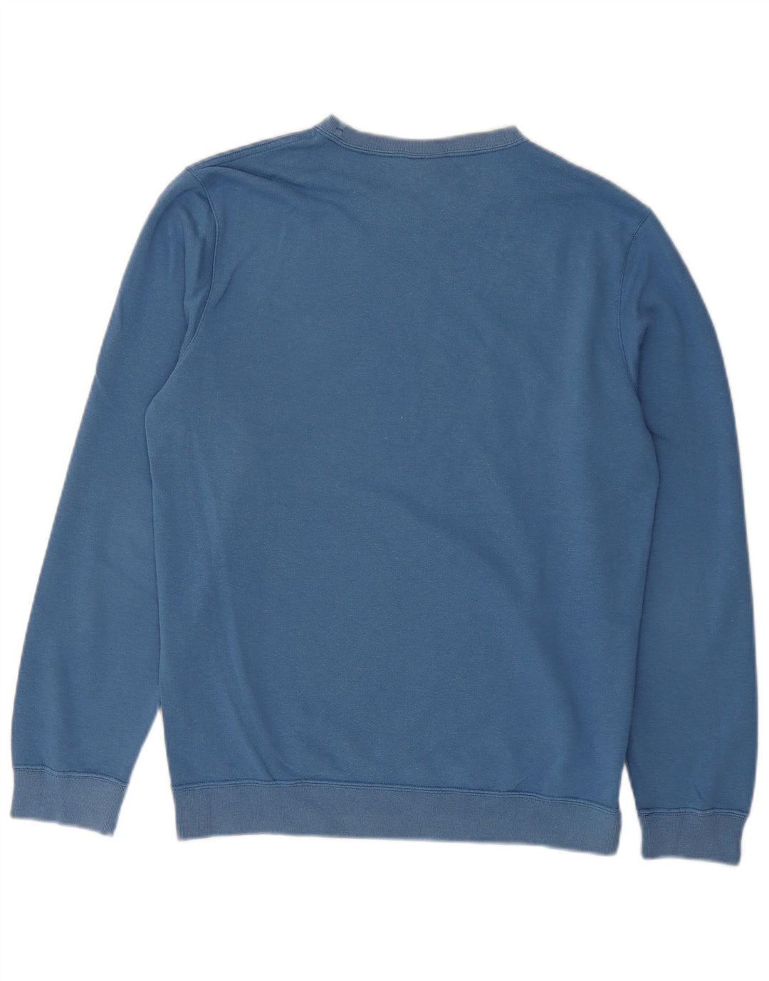 Champion Mens Graphic Sweatshirt Jumper Medium Blue