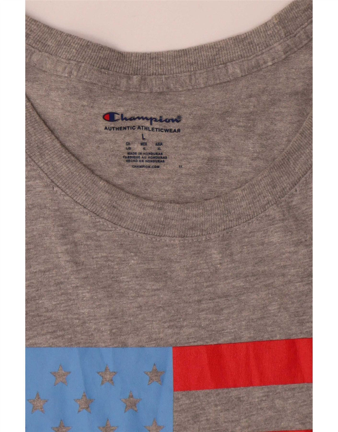 Champion Mens Graphic T-Shirt Top Large Grey Cotton