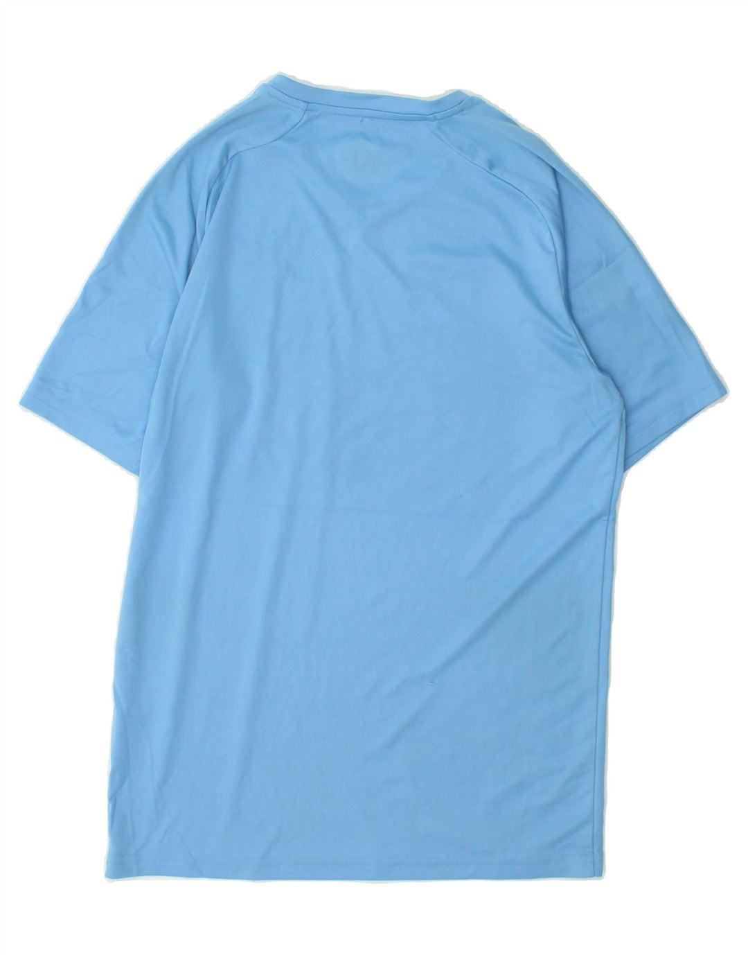 PUMA Mens Morris Graphic T-Shirt Top Small Blue Polyester Vintage Puma and Second-Hand Puma from Messina Hembry 