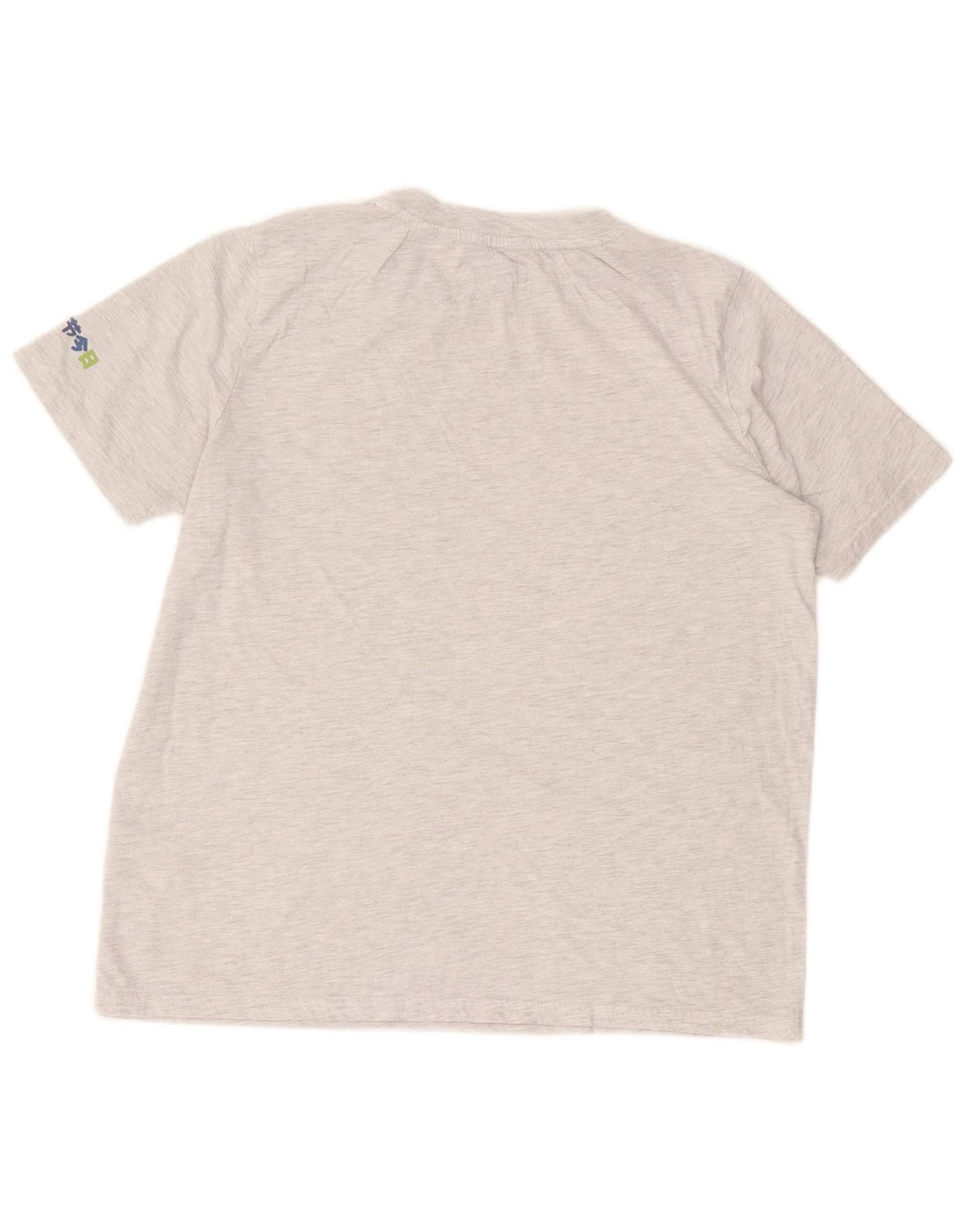 Superdry Womens Crop Graphic T-Shirt Top UK 12 Medium Grey Striped