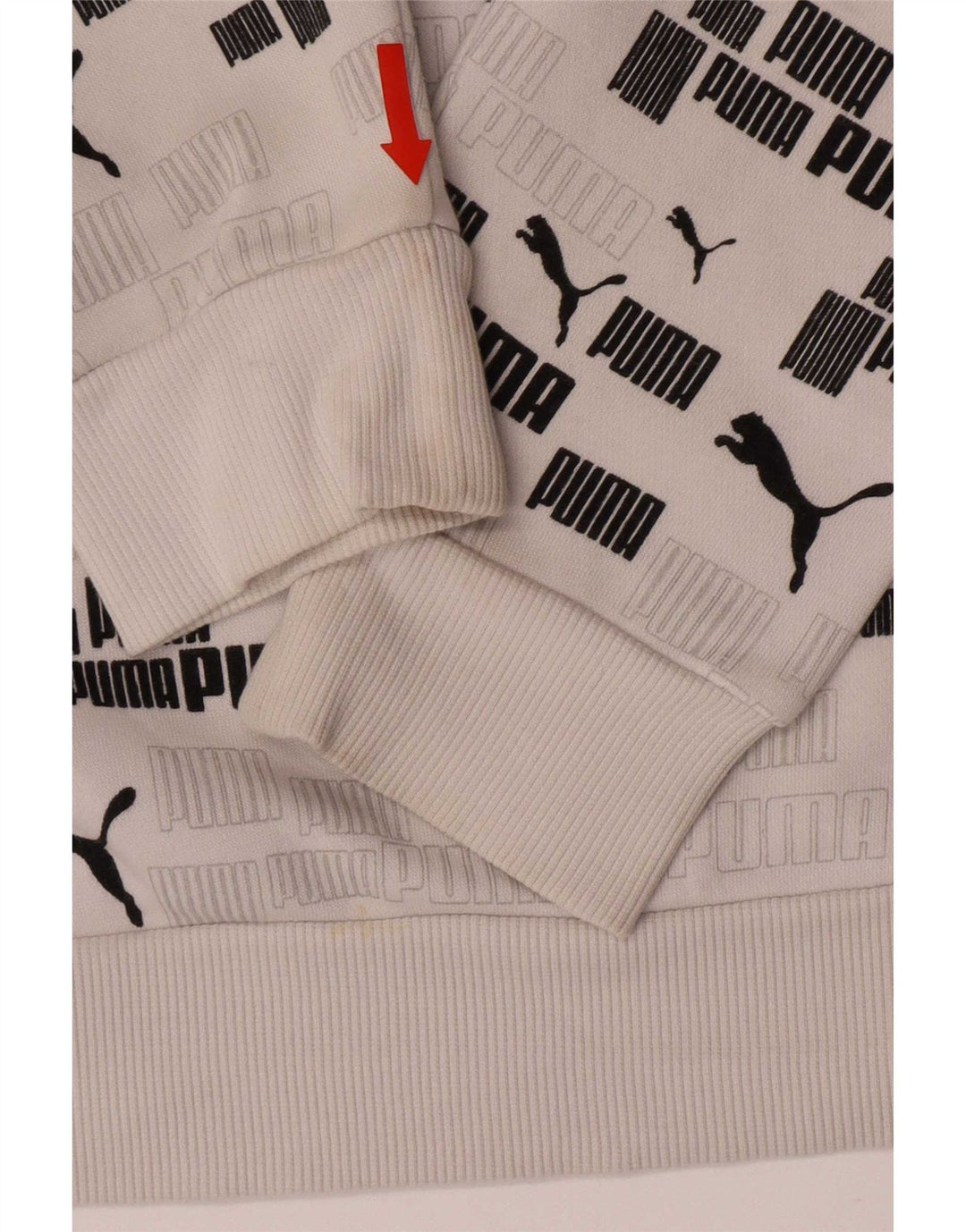 Puma Mens Graphic Hoodie Jumper Small White Cotton