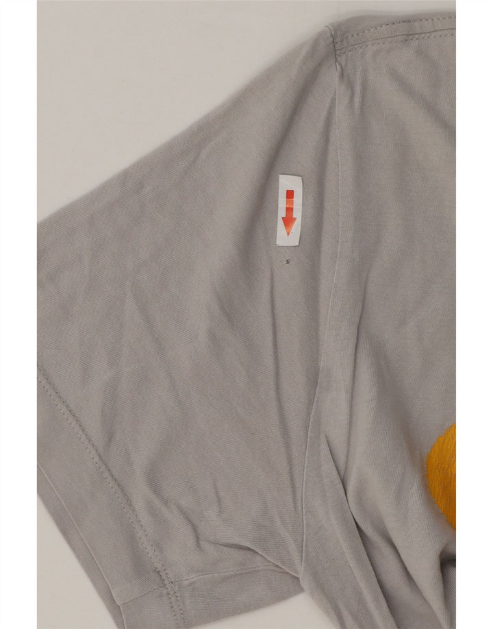 Nike Mens Graphic T-Shirt Top XS Grey Cotton