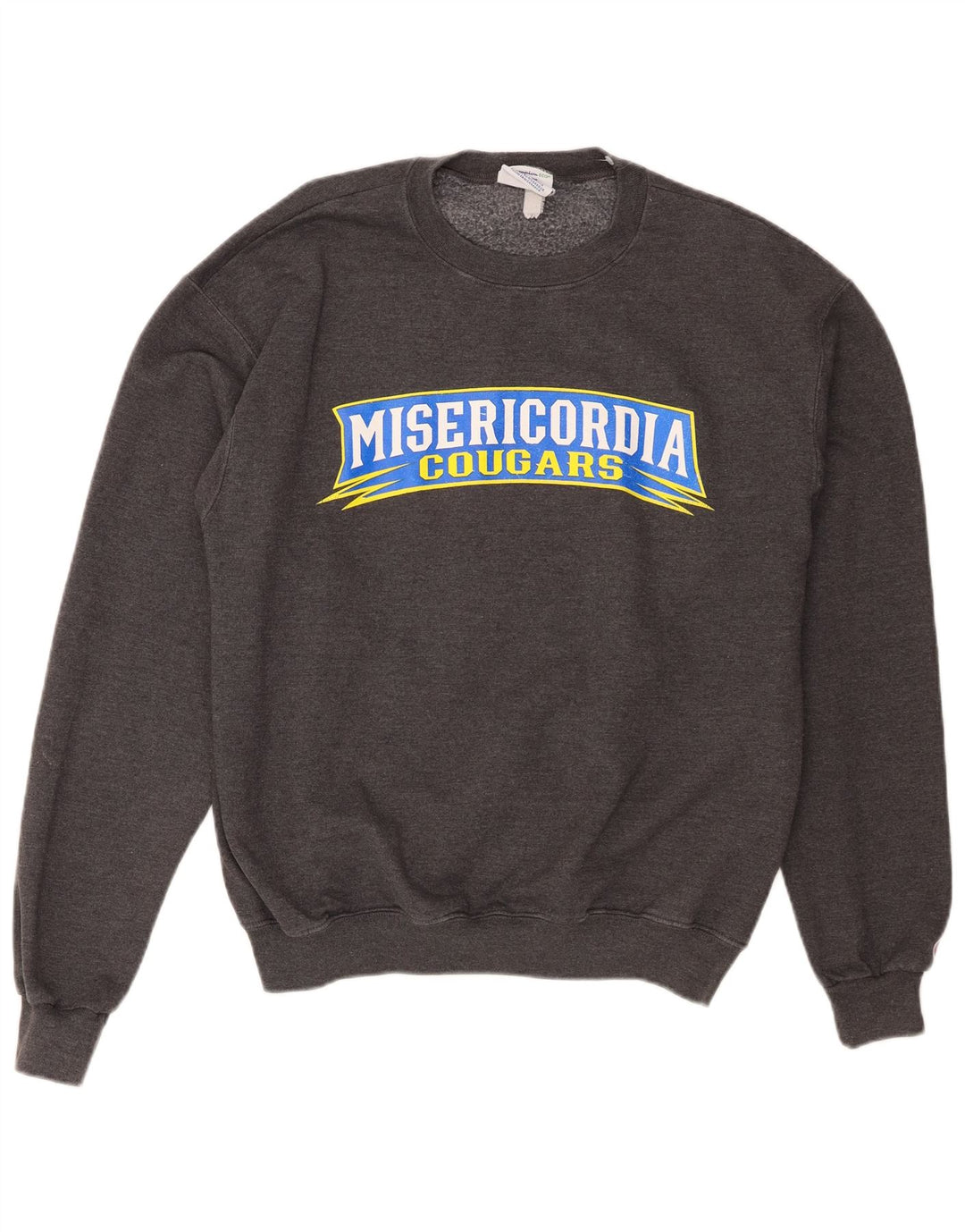 Champion Mens Misericordia Cougars Graphic Sweatshirt Jumper Medium Grey
