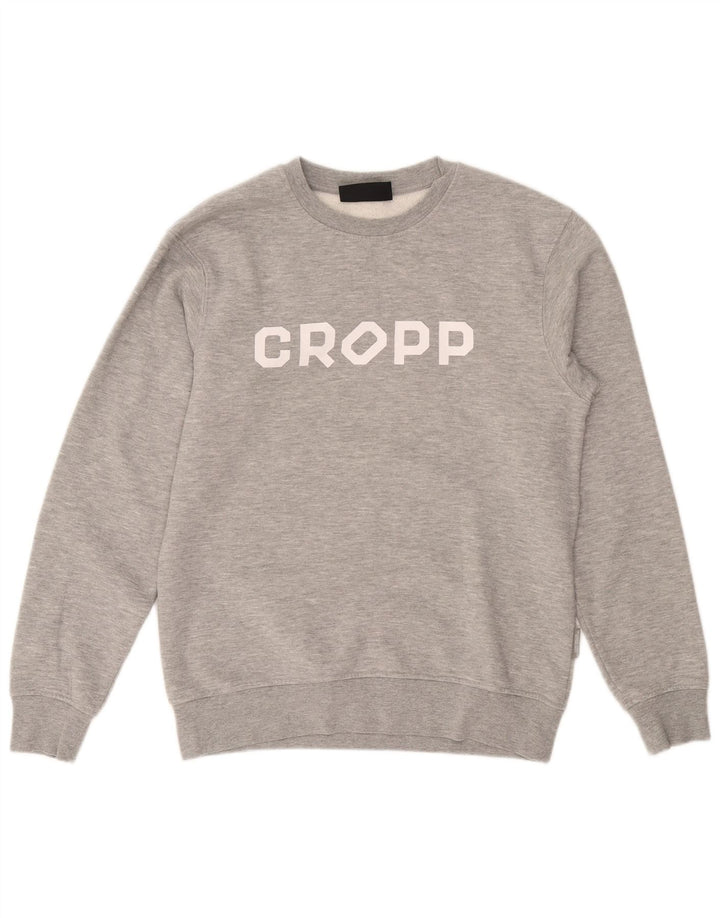 Cropp Mens Graphic Regular Fit Sweatshirt Jumper Small Grey Cotton