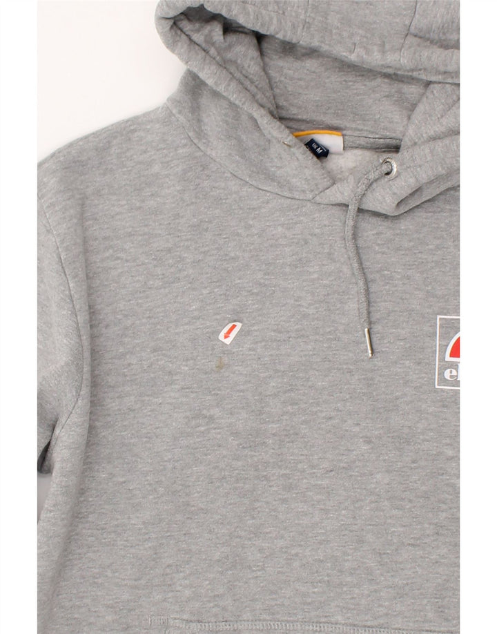 ELLESSE Mens Hoodie Jumper Medium Grey Vintage Ellesse and Second-Hand Ellesse from Messina Hembry 