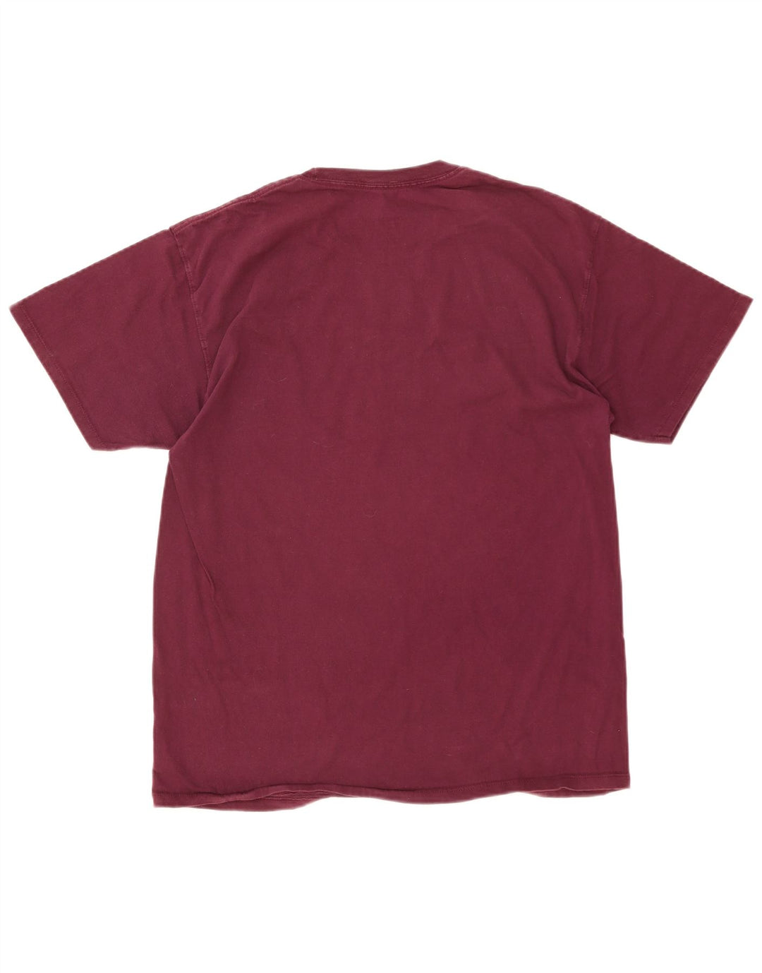 Champion Mens T-Shirt Top Large Burgundy