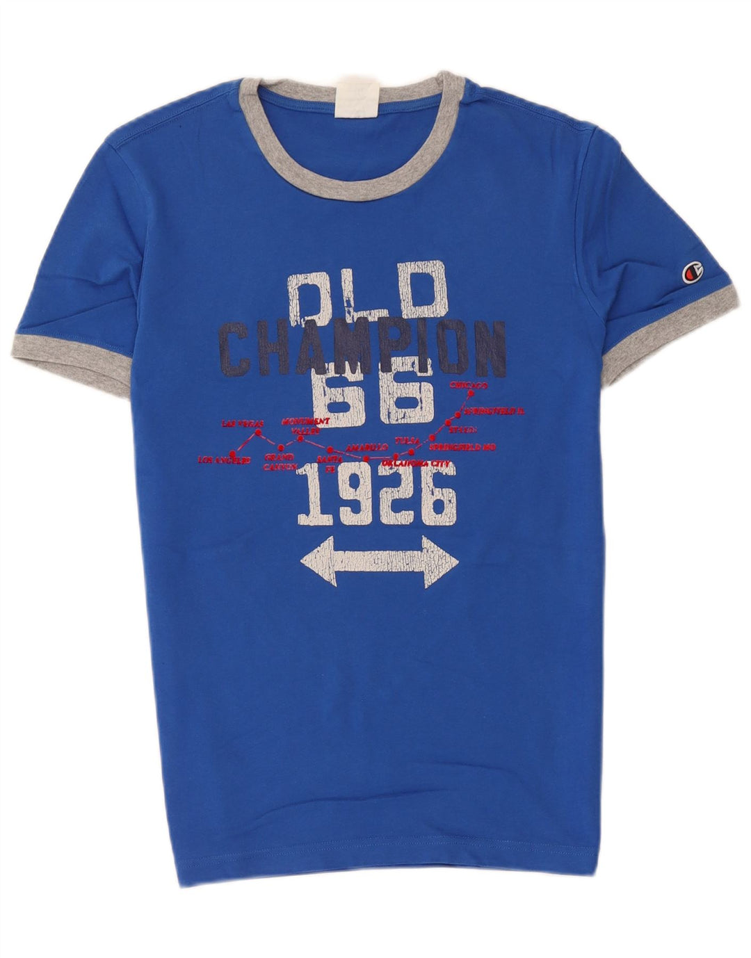 Champion Mens Graphic T-Shirt Top Small Blue Colourblock
