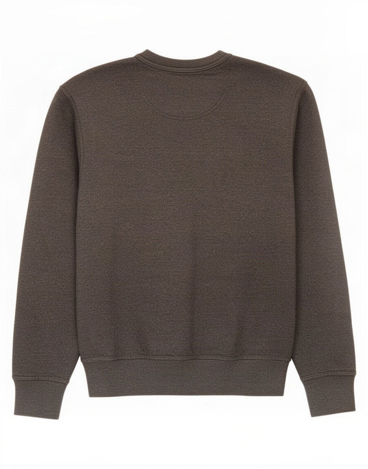 Champion Mens Graphic Sweatshirt Jumper Small Grey Cotton