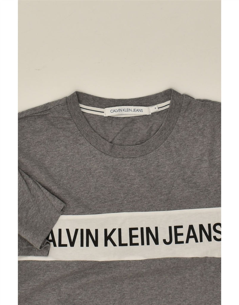 CALVIN KLEIN Mens Graphic T-Shirt Top Medium Grey Cotton | Vintage Calvin Klein | Thrift | Second-Hand Calvin Klein | Used Clothing | Messina Hembry 