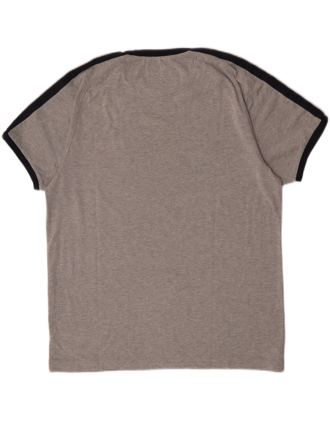 Champion Mens T-Shirt Top Large Grey Cotton
