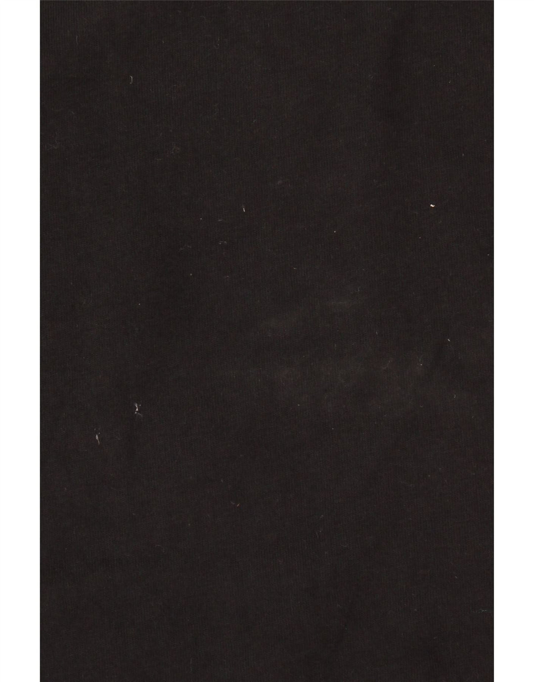 CHAMPION Mens Top Long Sleeve Medium Black Cotton