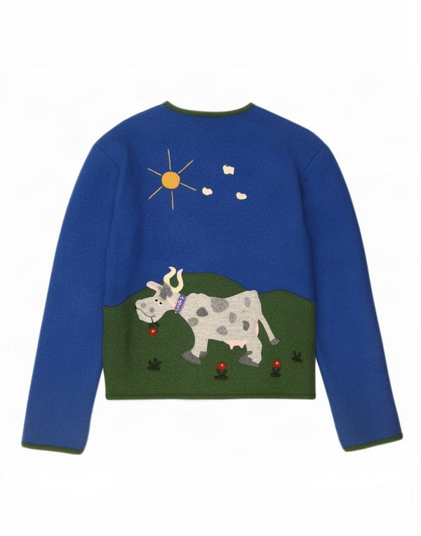Giesswein Womens Cardigan Sweater UK 10 Small Blue Colourblock Novelty