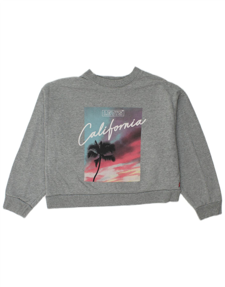 Levi's Womens Oversized Crop Graphic Sweatshirt Jumper UK 10 Small Grey
