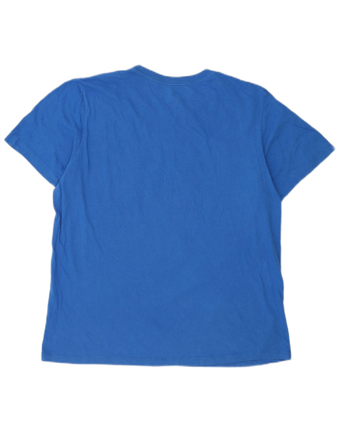Nike Mens Graphic T-Shirt Top Large Blue Cotton