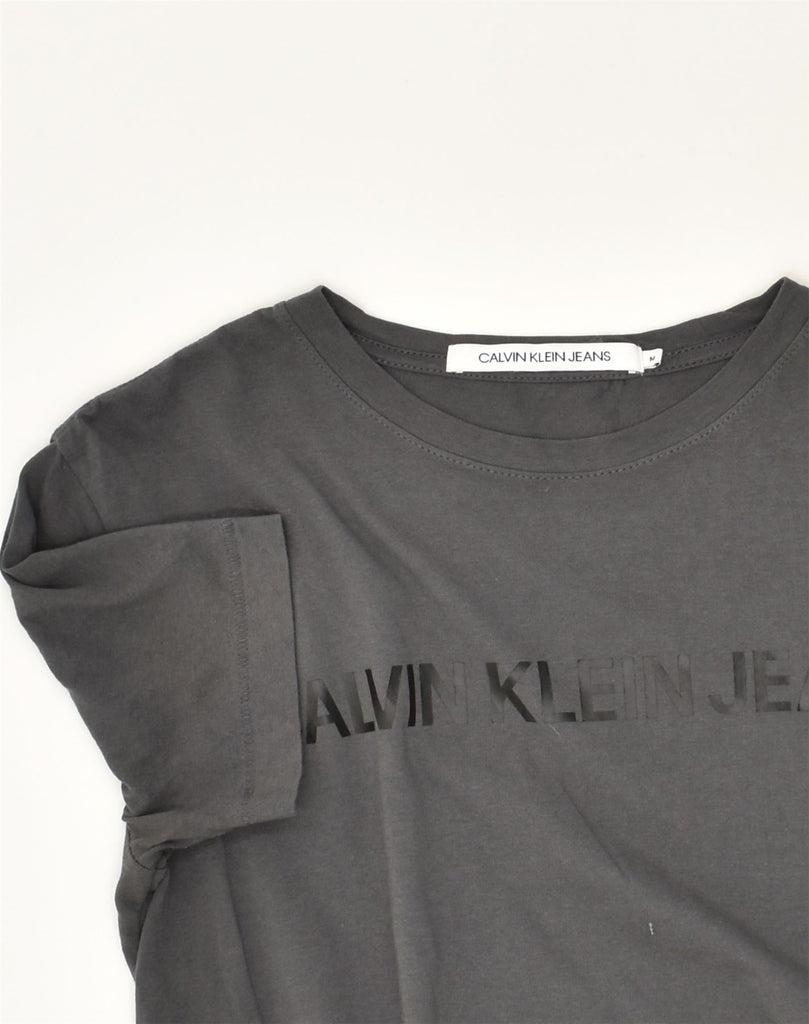 CALVIN KLEIN Mens Graphic T-Shirt Top Medium Grey Cotton | Vintage Calvin Klein | Thrift | Second-Hand Calvin Klein | Used Clothing | Messina Hembry 