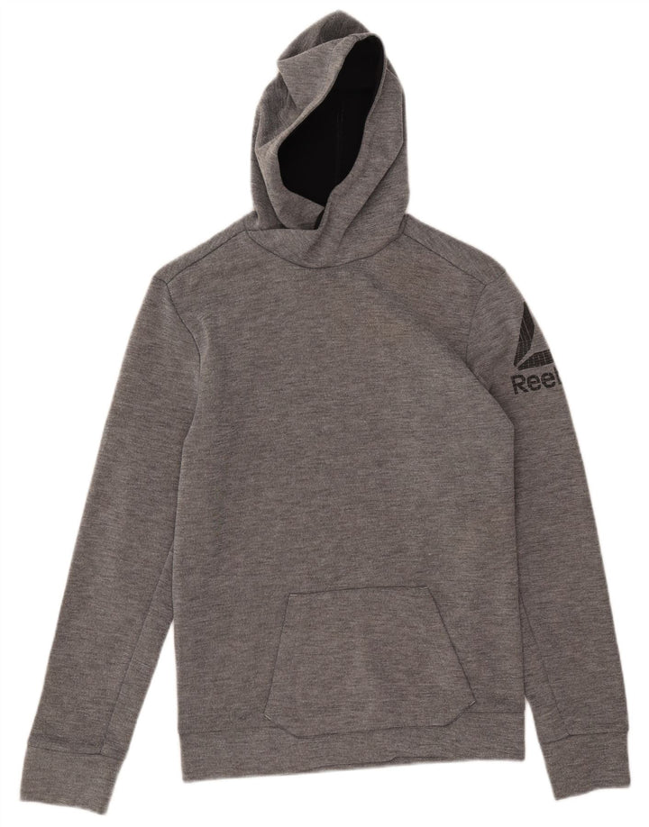 Reebok Mens Graphic Hoodie Jumper XS Grey Polyester