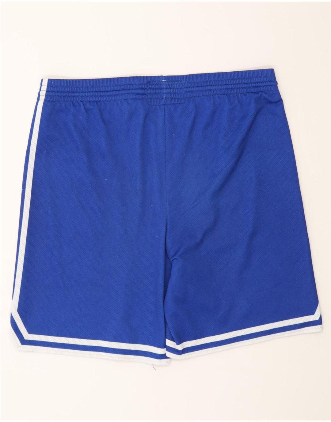 Champion Mens Sport Shorts Large  Blue
