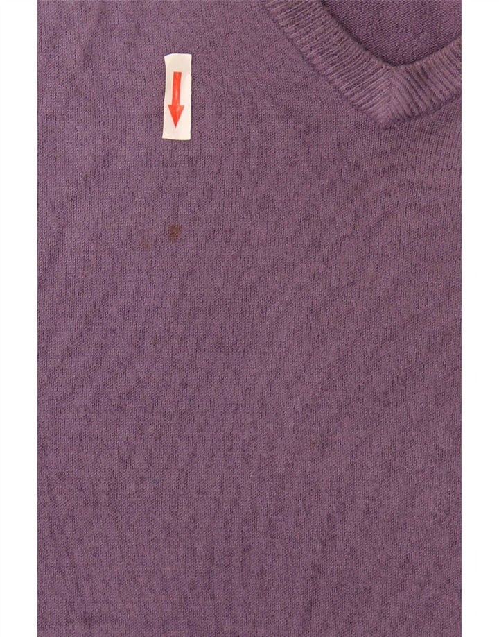 Marks & Spencer Mens Blue Harbour V-Neck Jumper Sweater Large Purple