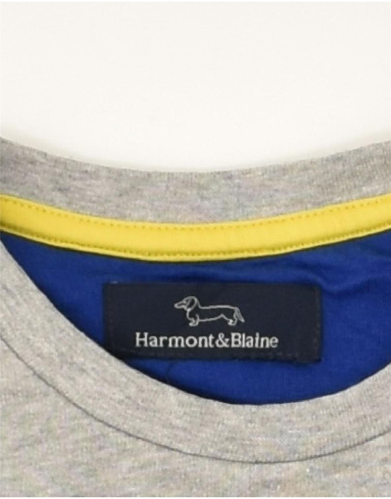 HARMONT & BLAINE Boys Graphic Sweatshirt Jumper 5-6 Years Grey Cotton | Vintage Harmont & Blaine | Thrift | Second-Hand Harmont & Blaine | Used Clothing | Messina Hembry 