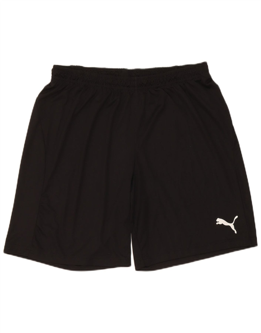 Puma Mens Sport Shorts Large Black