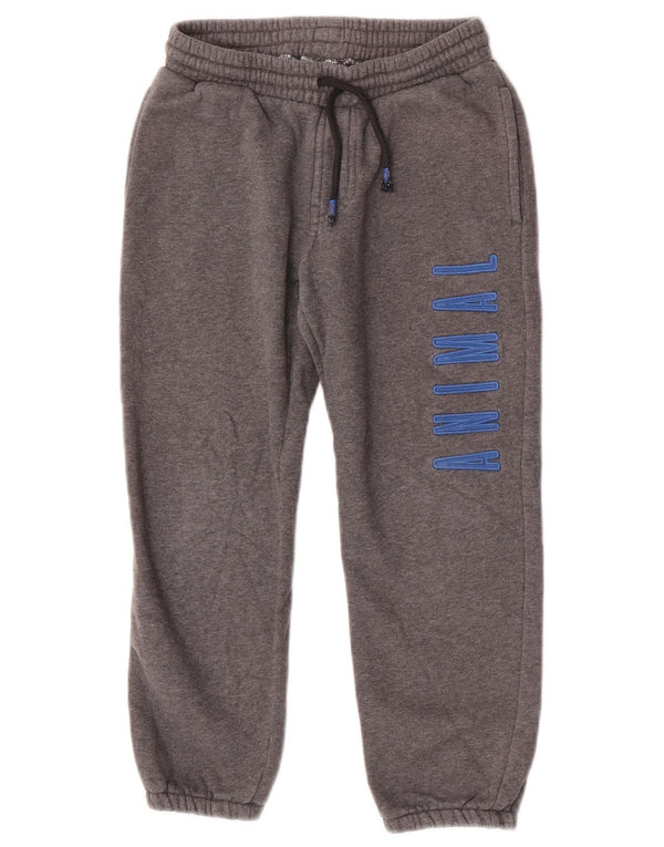 Animal Boys Graphic Tracksuit Trousers Joggers 7-8 Years Grey Cotton