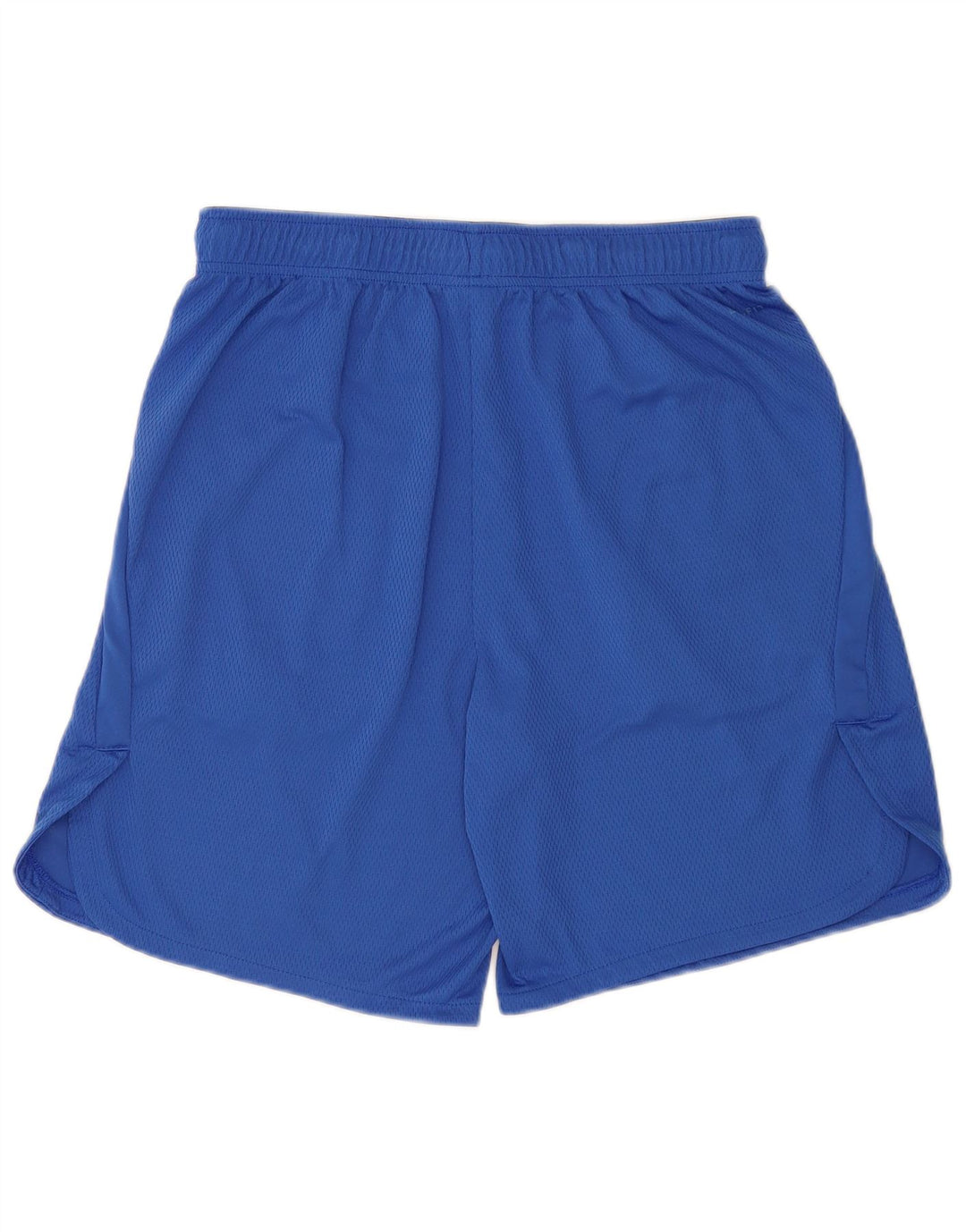 Nike Mens Sport Shorts Large Blue