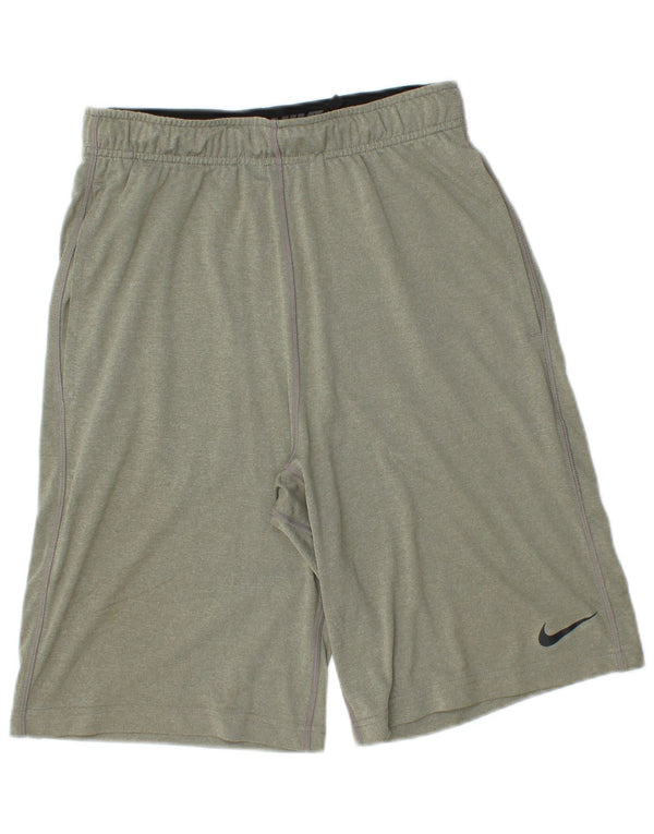 Nike Mens Dri Fit Sport Shorts Small  Green Polyester