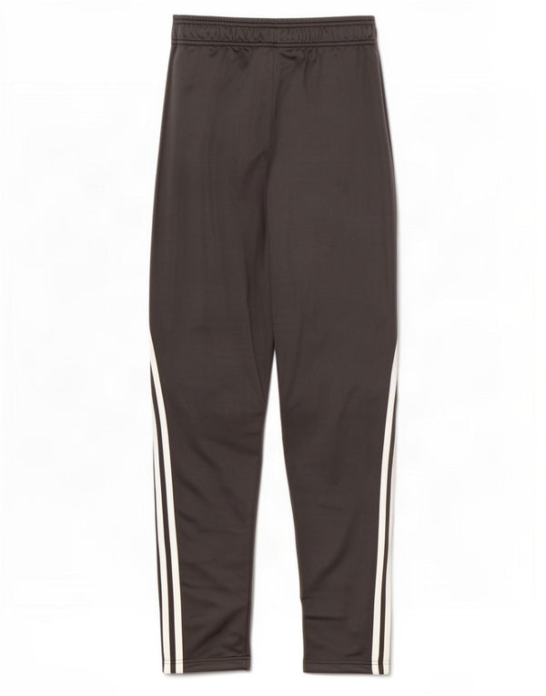 Adidas Boys Primegreen Tracksuit Trousers 13-14 Years Grey Polyester