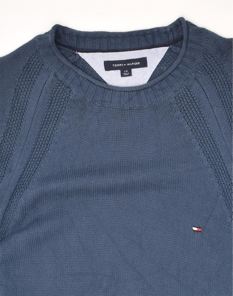 TOMMY HILFIGER Mens Crew Neck Jumper Sweater Large Blue Cotton | Vintage Tommy Hilfiger | Thrift | Second-Hand Tommy Hilfiger | Used Clothing | Messina Hembry 