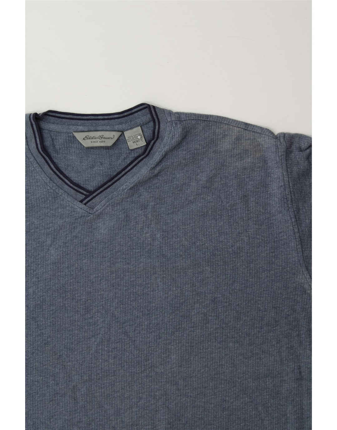 EDDIE BAUER Mens T-Shirt Top Large Blue Cotton Vintage Eddie Bauer and Second-Hand Eddie Bauer from Messina Hembry 