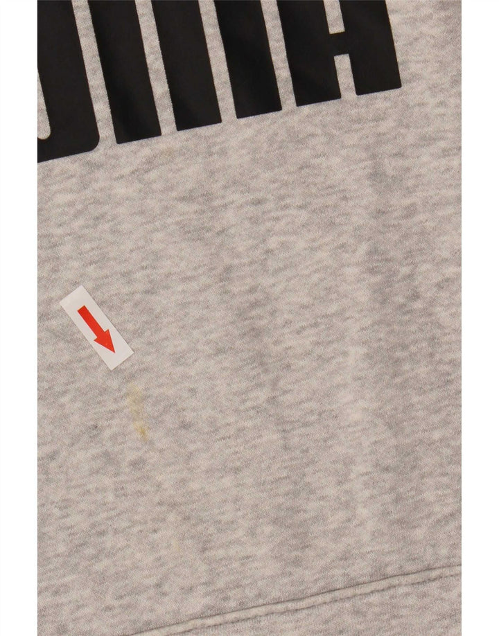 Puma Mens Graphic Hoodie Jumper Small Grey Cotton