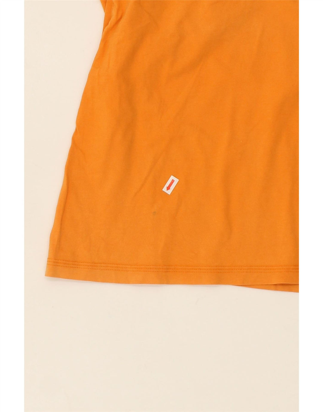 CHAMPION Womens T-Shirt Top UK 16 Large Orange Vintage Champion and Second-Hand Champion from Messina Hembry 