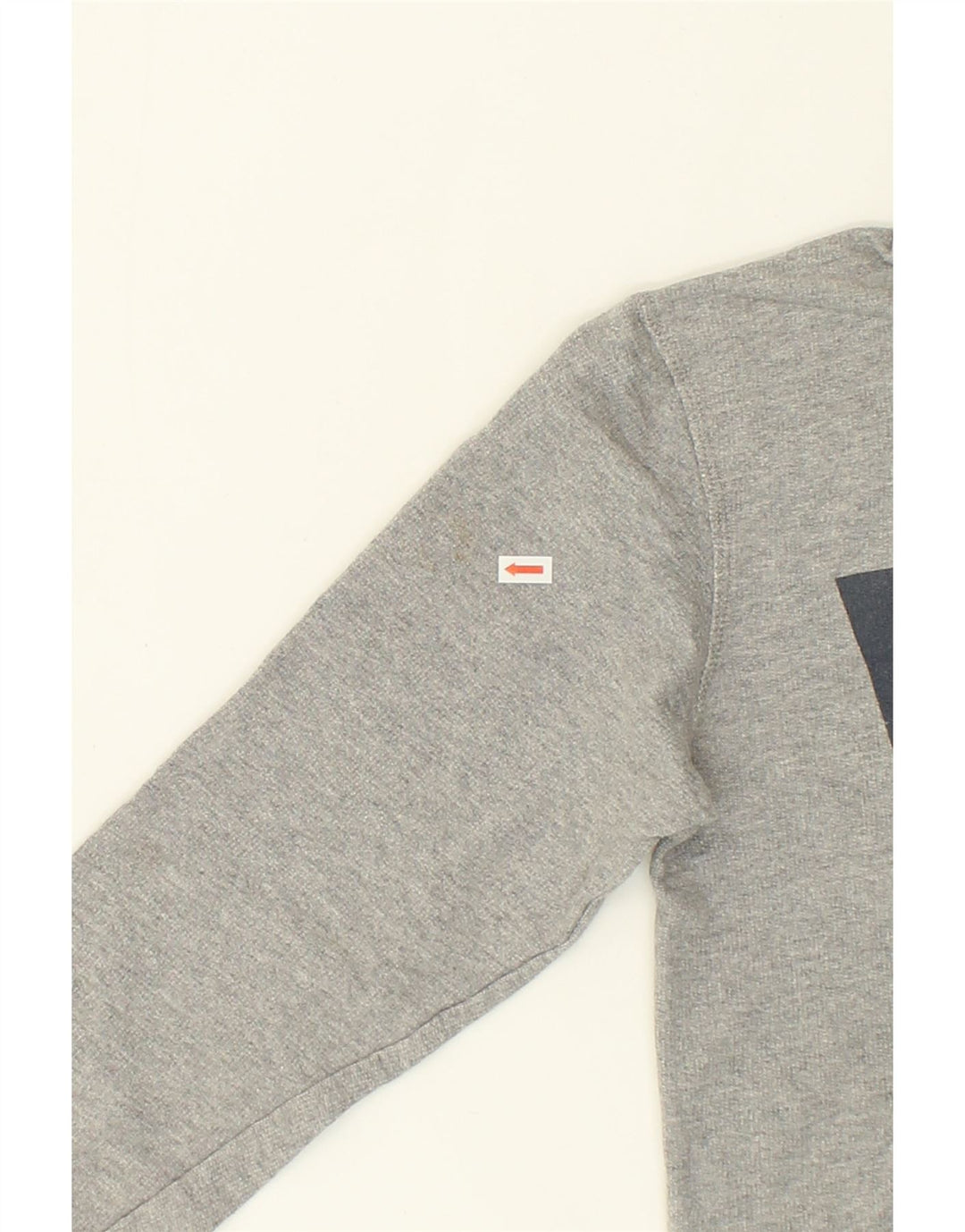 LEVI'S Boys Graphic Hoodie Jumper 13-14 Years Grey Cotton Vintage Levi's and Second-Hand Levi's from Messina Hembry 