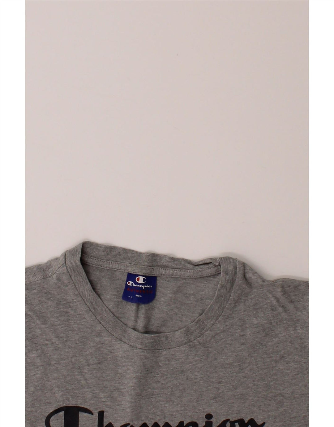 CHAMPION Mens Graphic T-Shirt Top Medium Grey Cotton Vintage Champion and Second-Hand Champion from Messina Hembry 