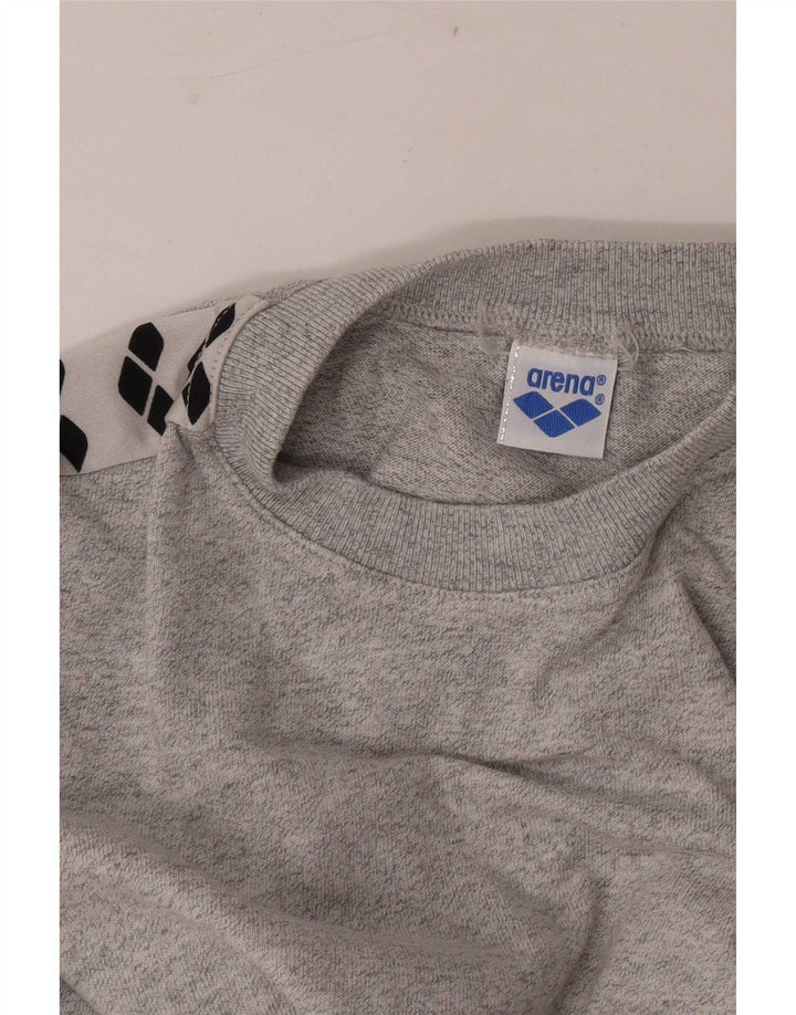 Arena Mens Graphic Top Long Sleeve Small Grey Flecked